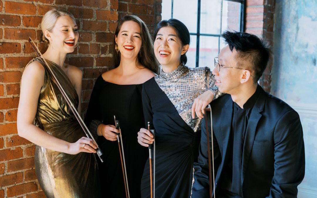 Meet Terra String Quartet